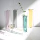 ins double -llayer color Glass Vase الإبداعية أنبوب الاختبار الشفافة الزهرة الأثرية